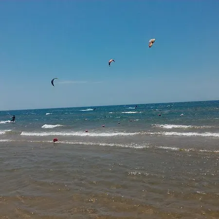 Origano Santa Maria Del Focallo