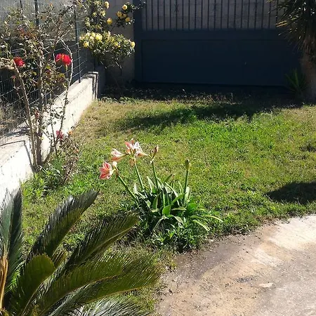 Origano Holiday home Santa Maria Del Focallo